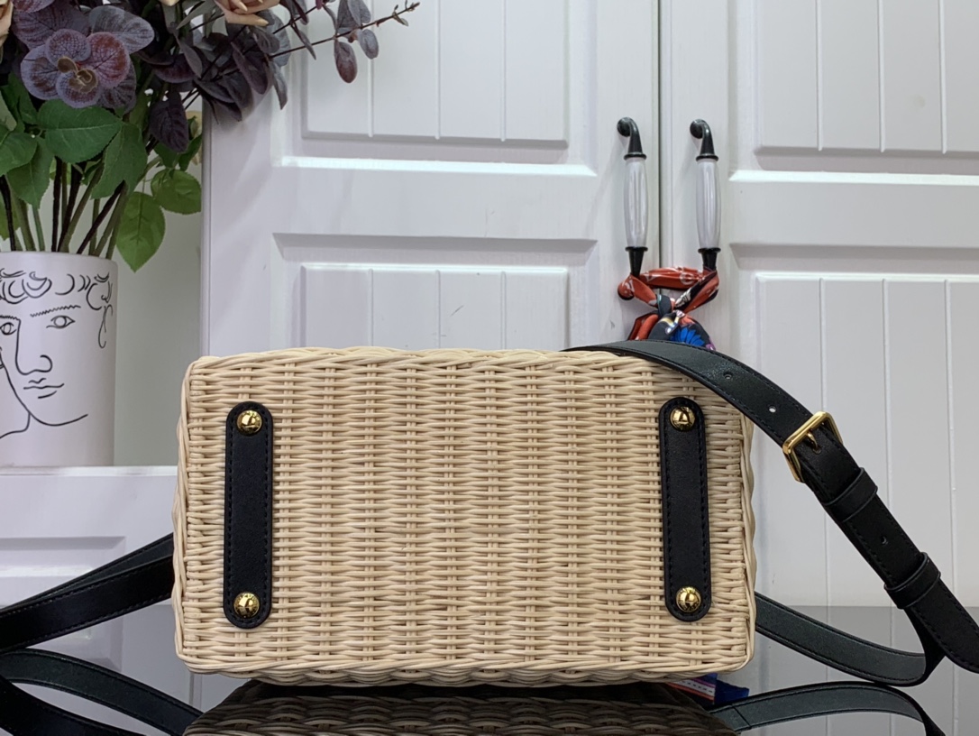 LV CAPUCINES BB Handbag