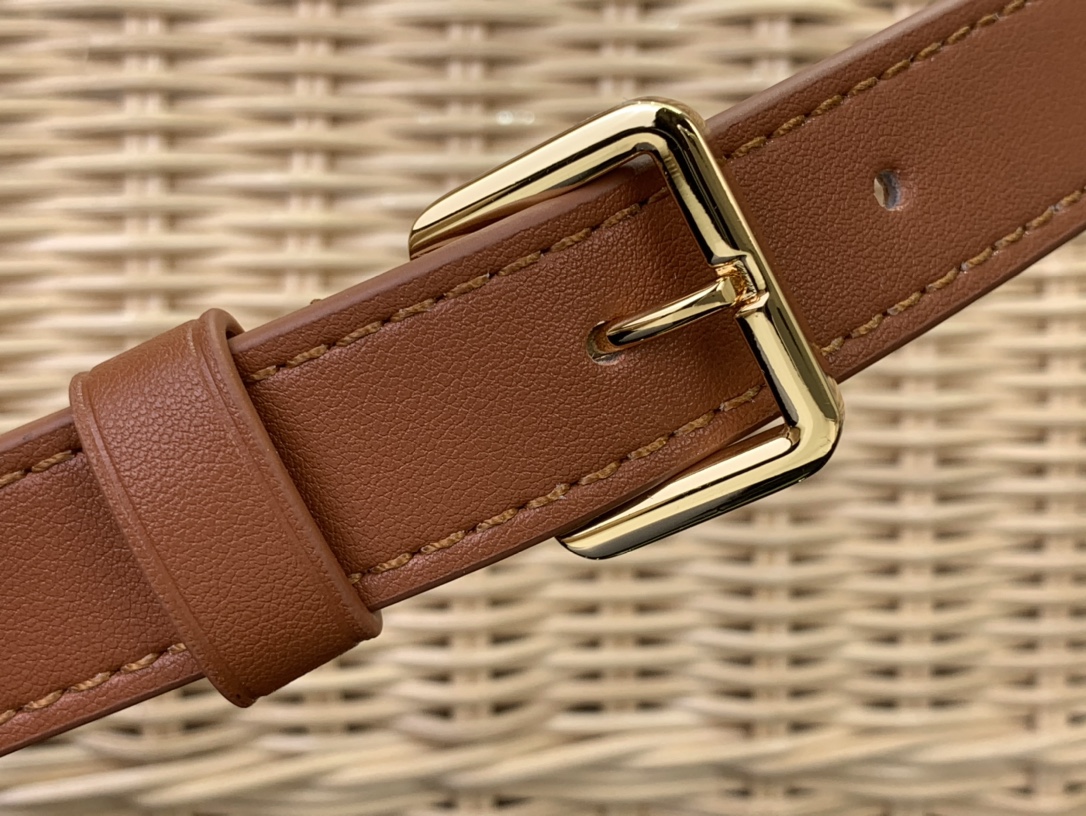 LV CAPUCINES BB Handbag