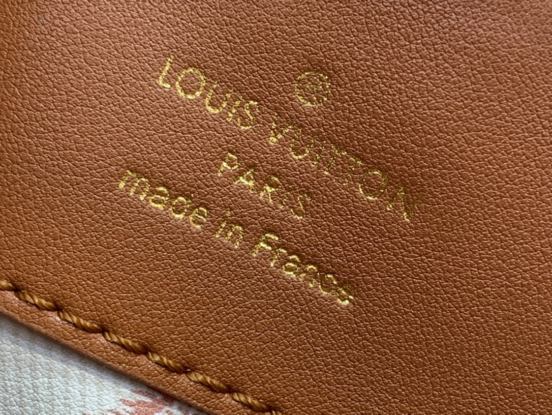 LV CAPUCINES BB Handbag