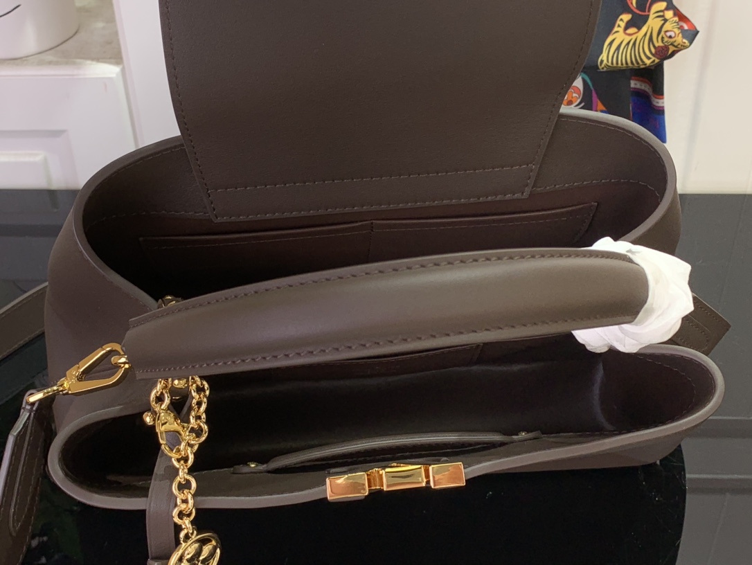 LV CAPUCINES SOUPLE Medium Handbag