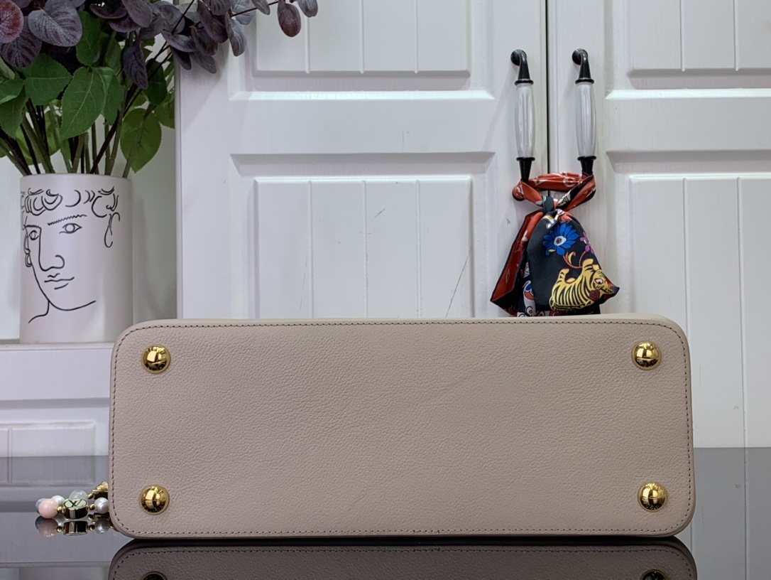 LV CAPUCINES SOUPLE Medium Handbag