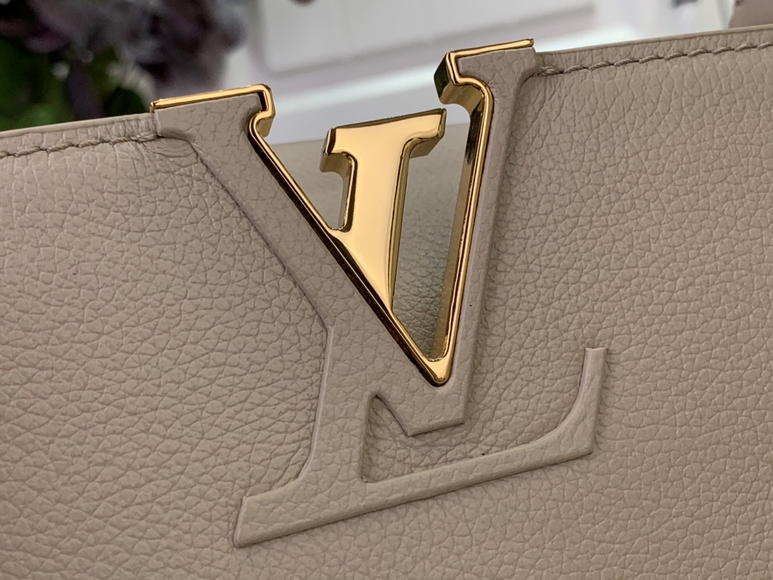 LV CAPUCINES SOUPLE Medium Handbag