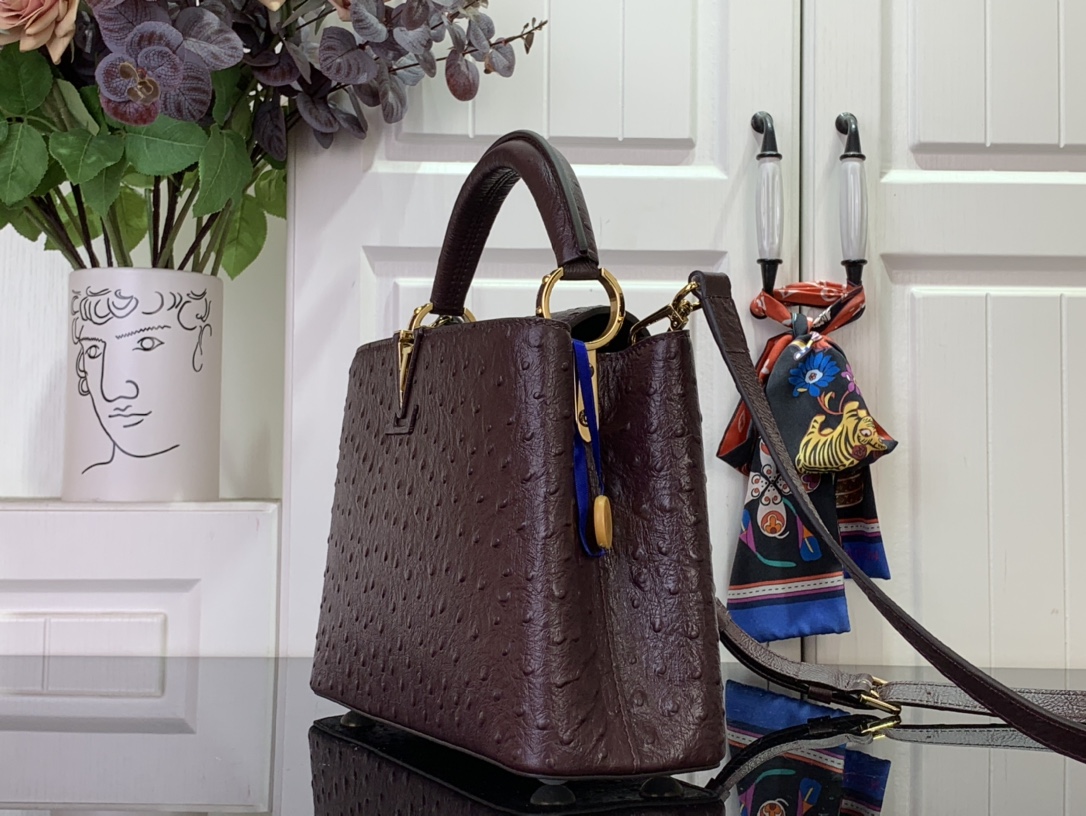 LV Capucines Small Handbag