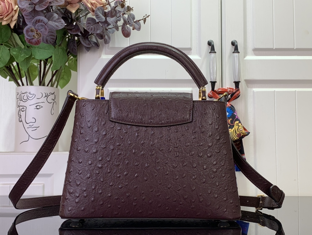 LV Capucines Small Handbag