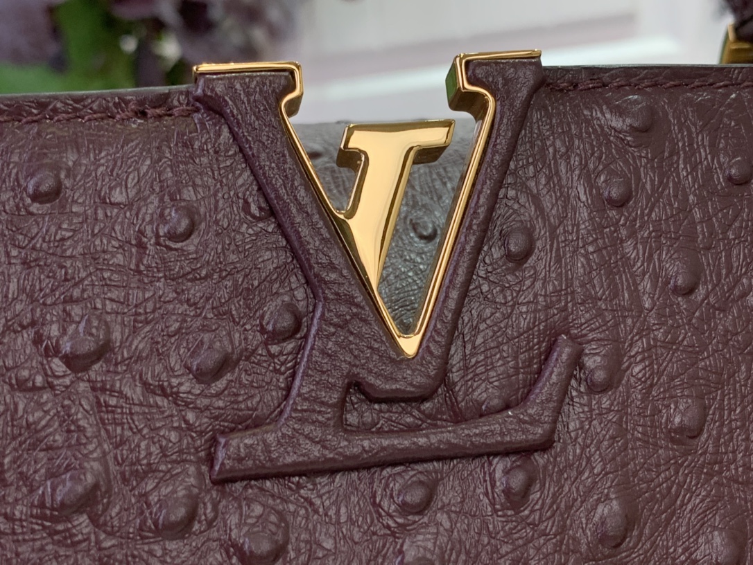 LV Capucines Small Handbag