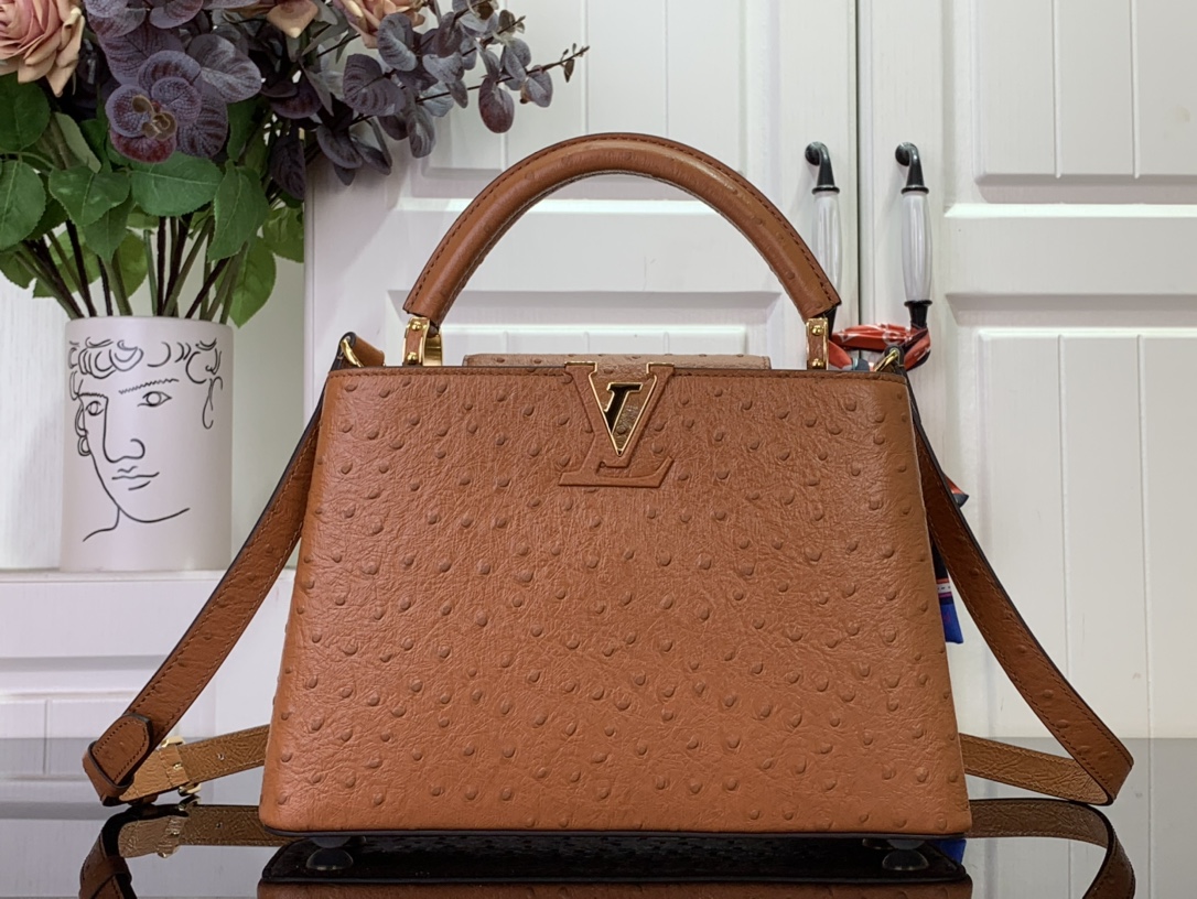 LV Capucines Small Handbag