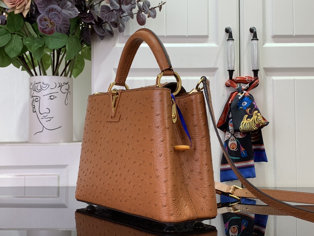 LV Capucines Small Handbag