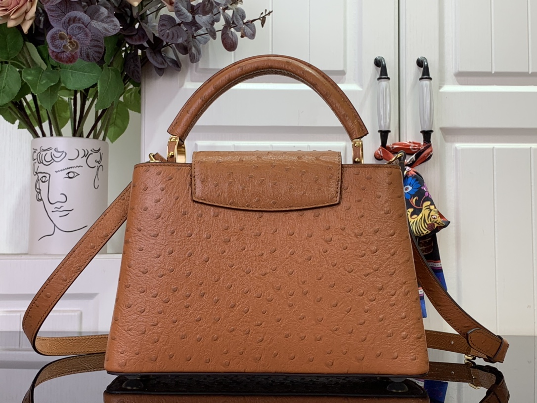 LV Capucines Small Handbag