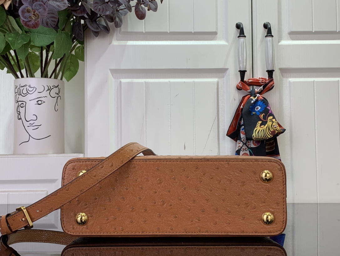 LV Capucines Small Handbag