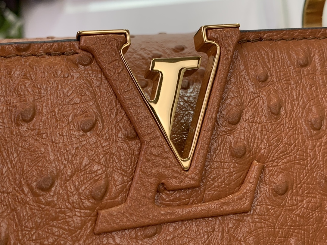 LV Capucines Small Handbag