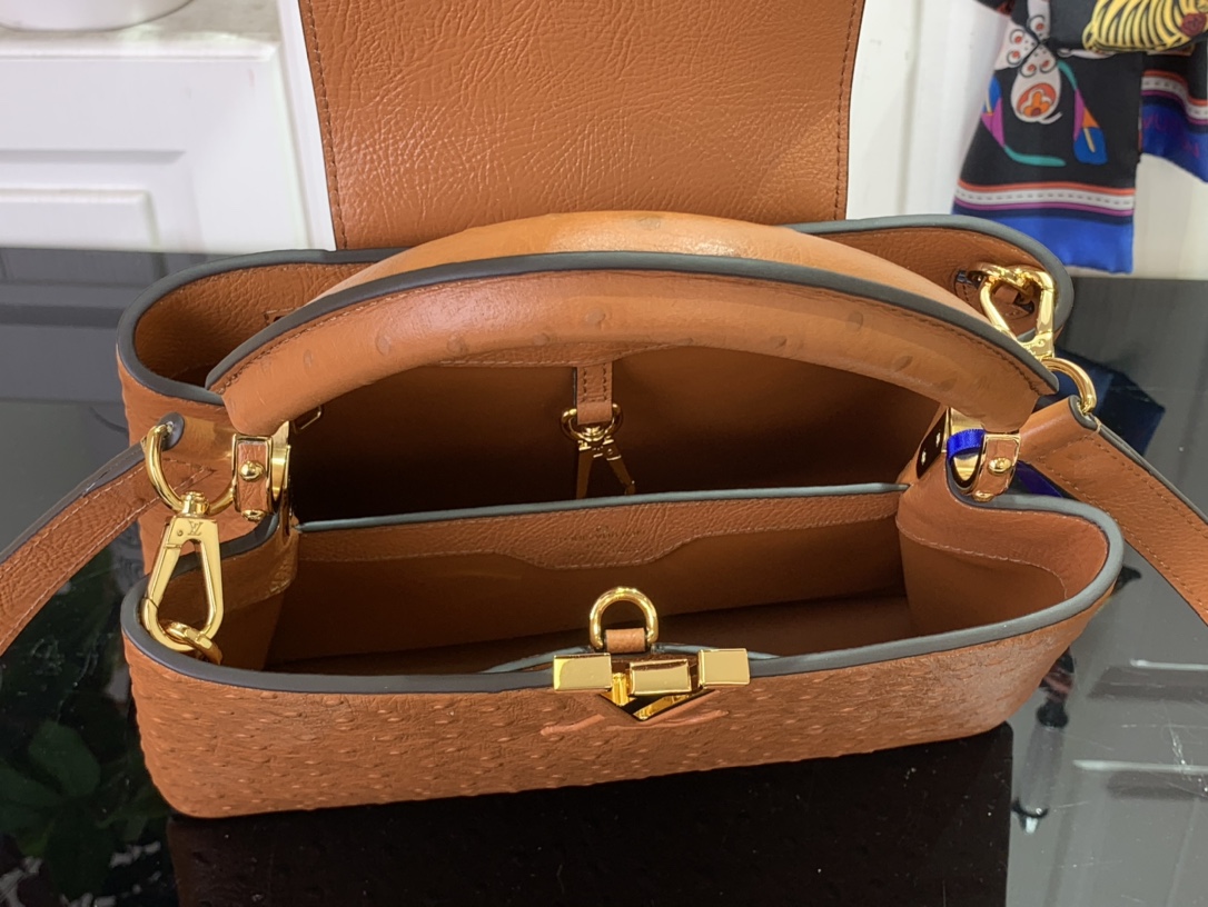 LV Capucines Small Handbag