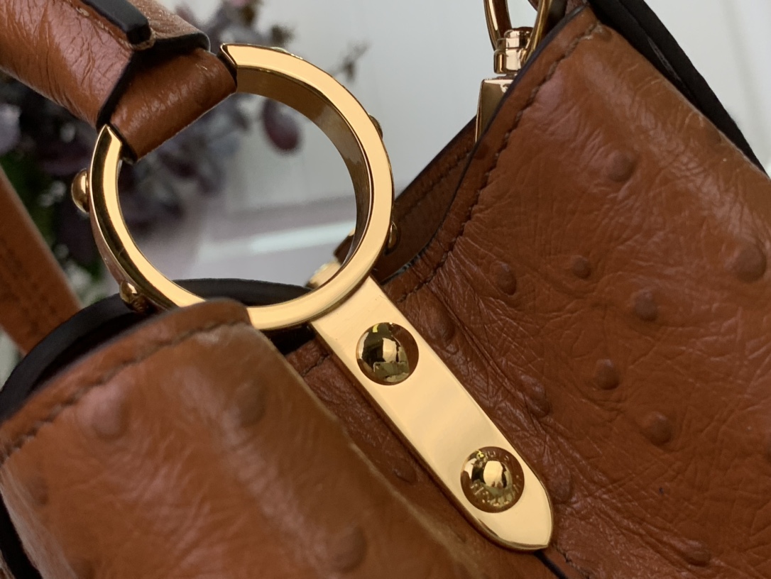 LV Capucines Small Handbag