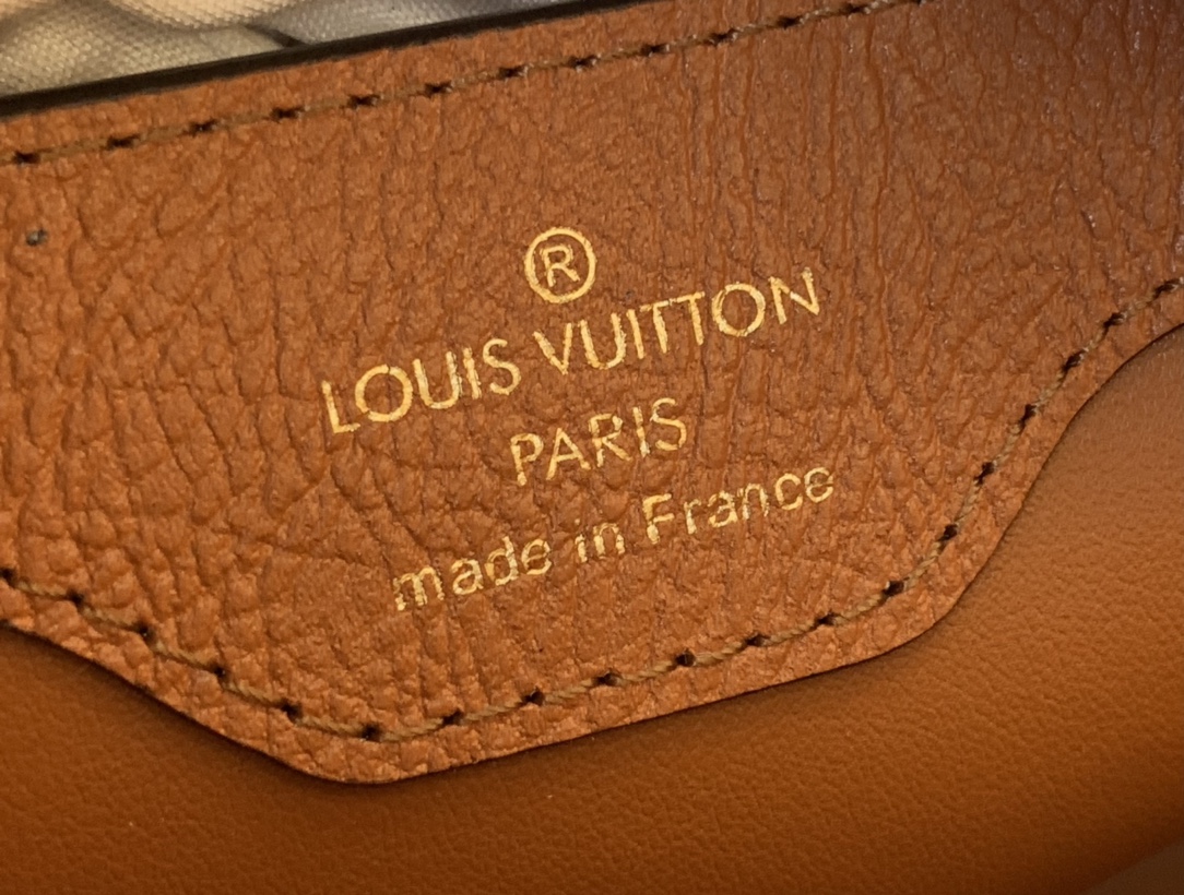 LV Capucines Small Handbag