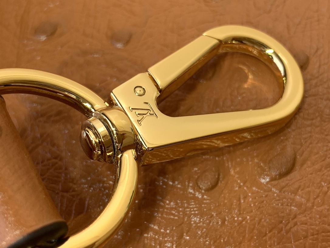 LV Capucines Small Handbag