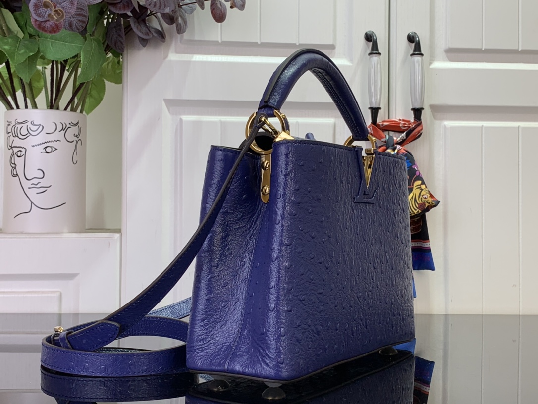 LV Capucines Small Handbag