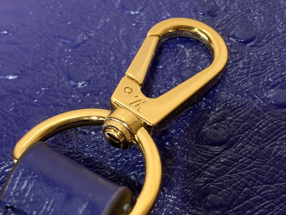 LV Capucines Small Handbag