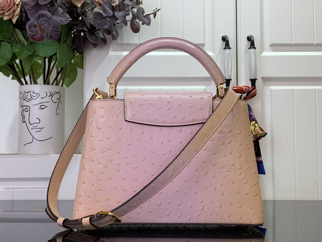 LV Capucines Small Handbag