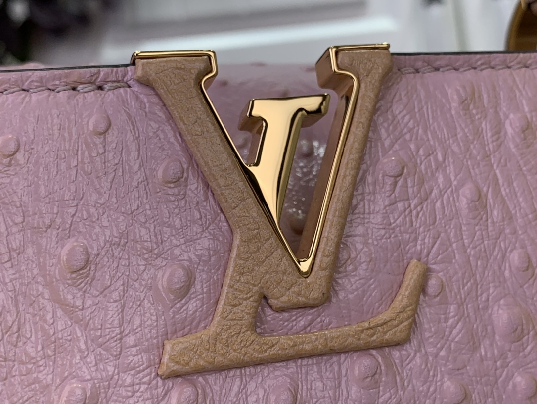 LV Capucines Small Handbag