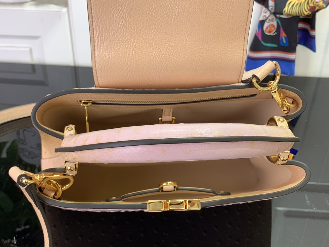 LV Capucines Small Handbag