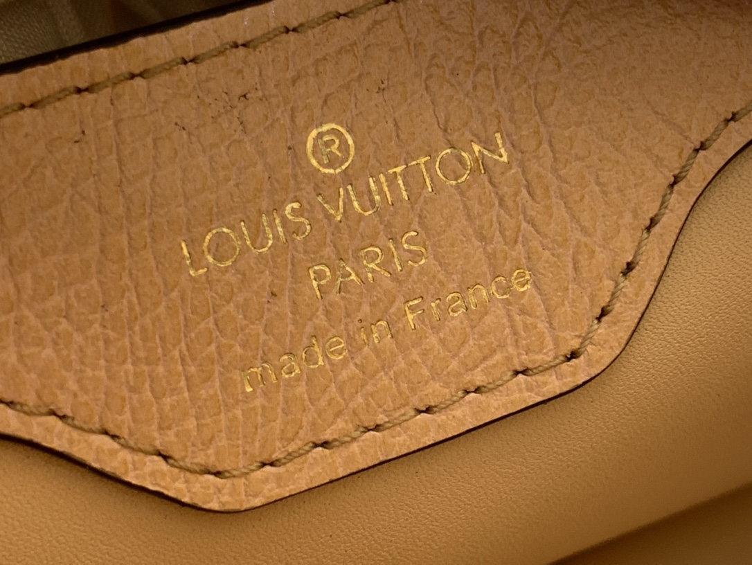 LV Capucines Small Handbag