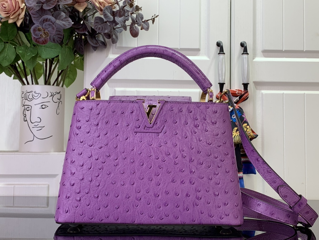 LV Capucines Small Handbag