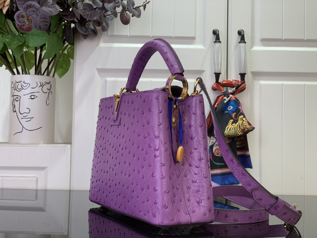 LV Capucines Small Handbag