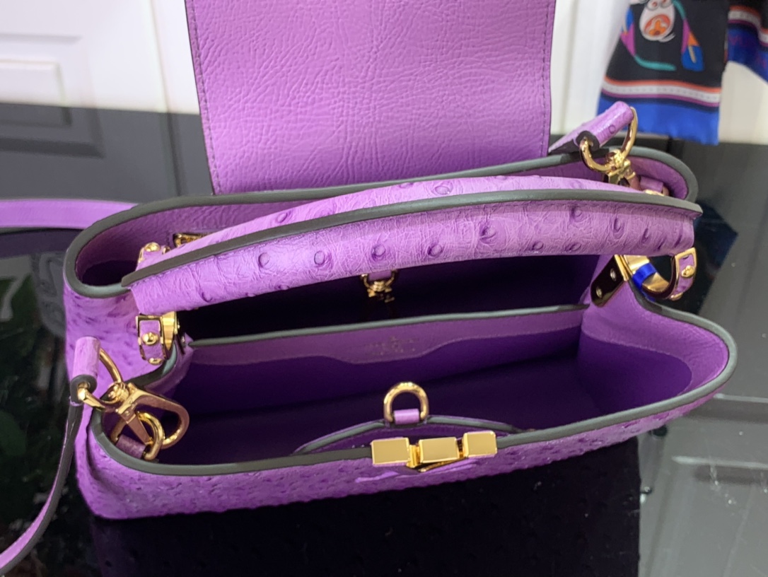 LV Capucines Small Handbag