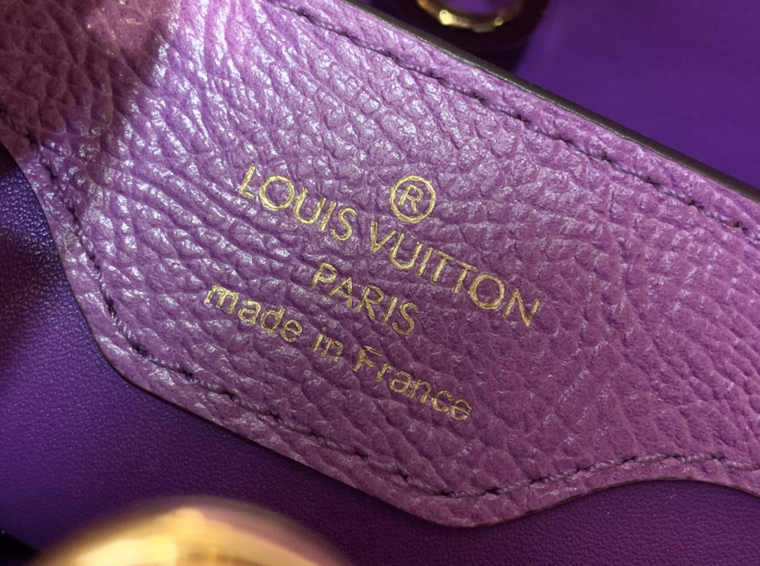 LV Capucines Small Handbag