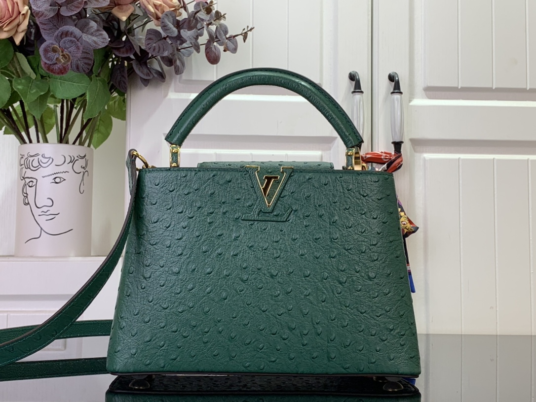 LV Capucines Small Handbag
