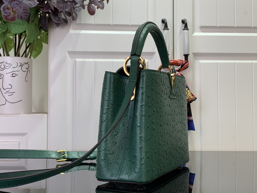 LV Capucines Small Handbag