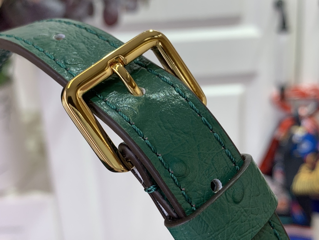 LV Capucines Small Handbag