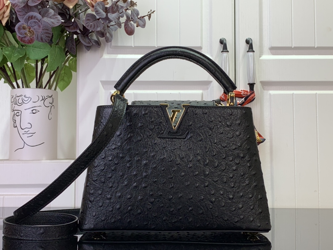 LV Capucines Small Handbag