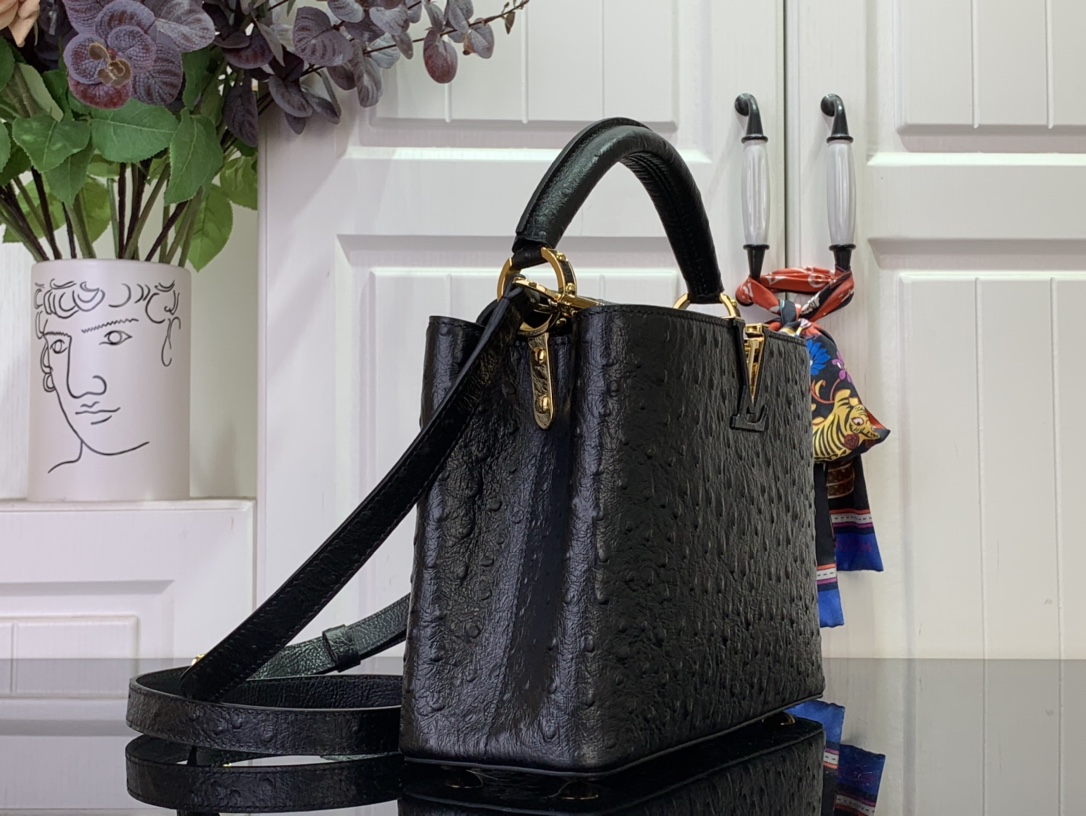 LV Capucines Small Handbag