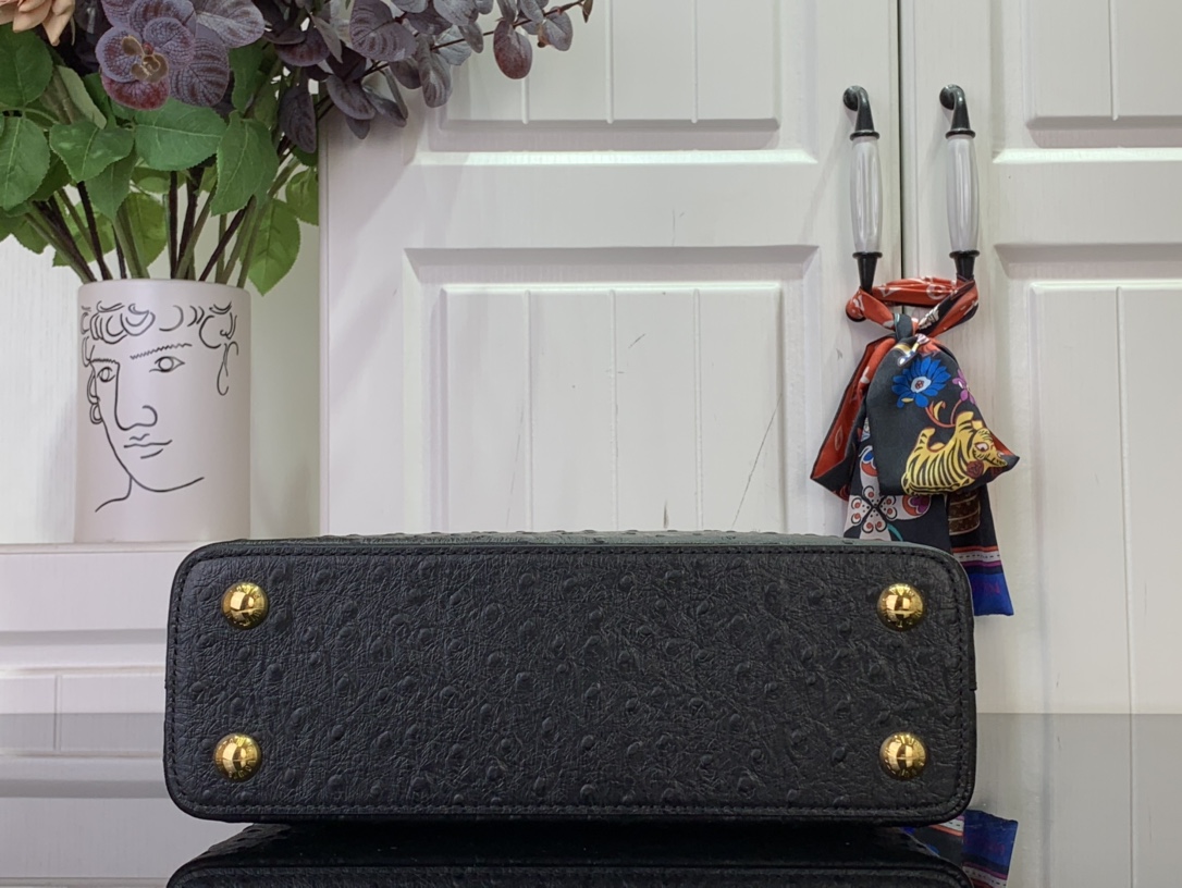 LV Capucines Small Handbag