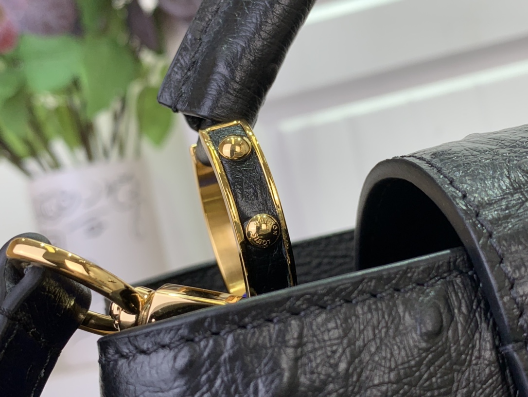 LV Capucines Small Handbag