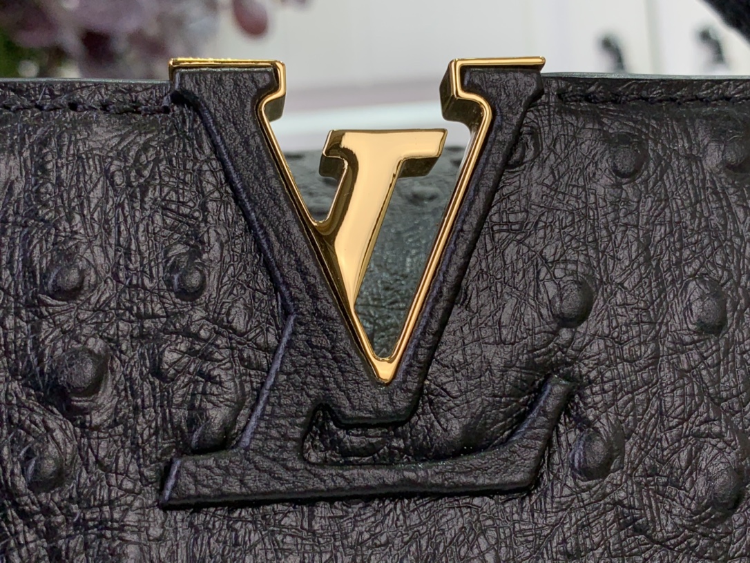 LV Capucines Small Handbag