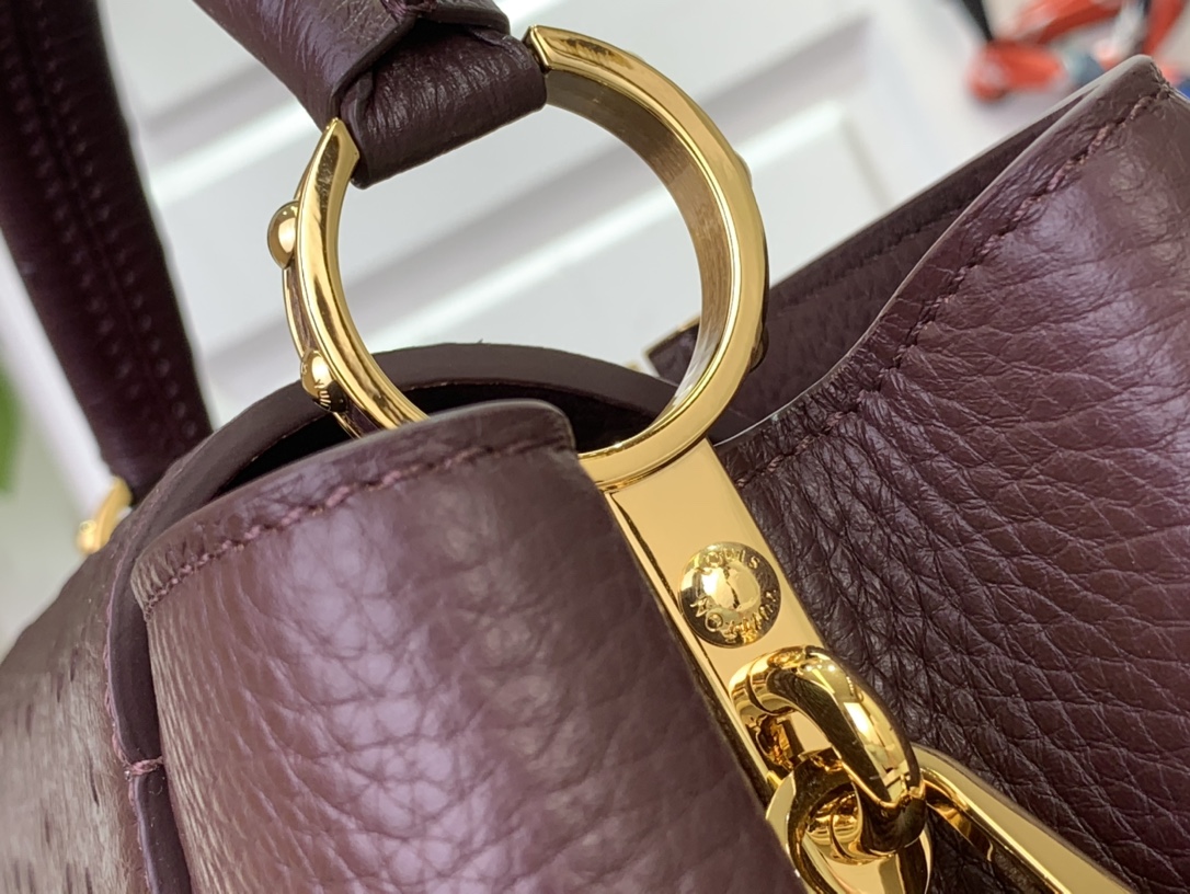 LV Capucines Small Handbag