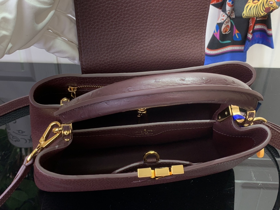 LV Capucines Small Handbag