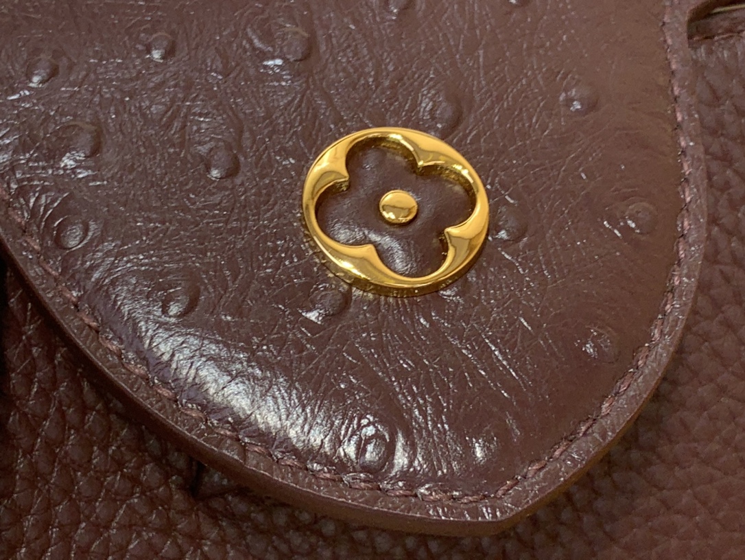 LV Capucines Small Handbag