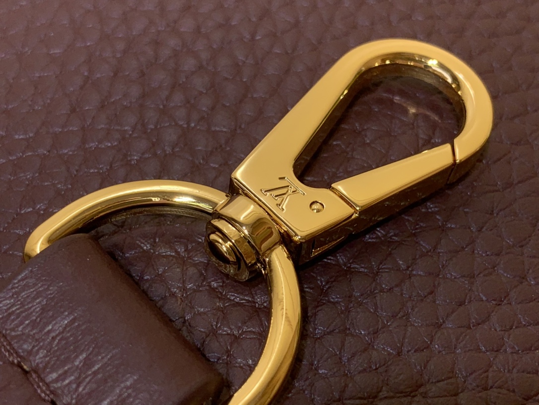 LV Capucines Small Handbag