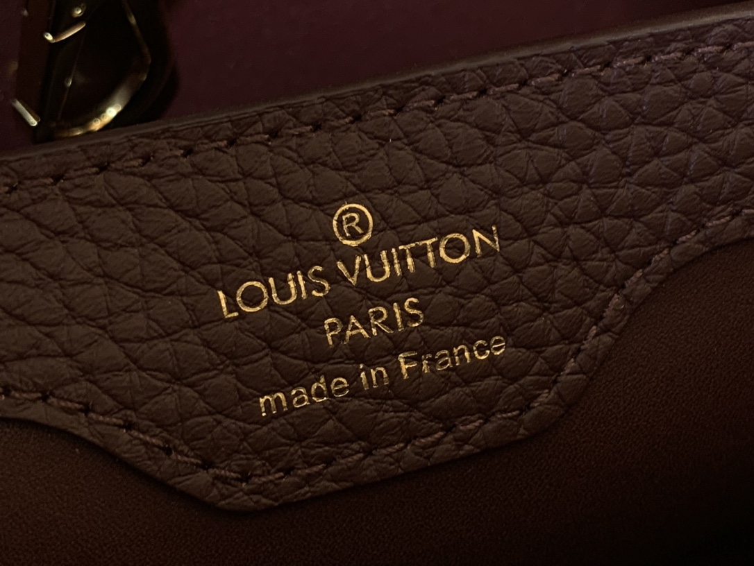 LV Capucines Small Handbag