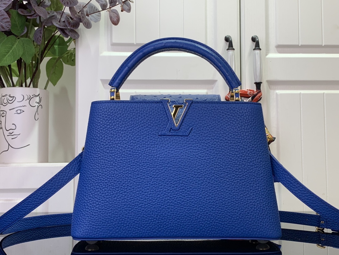 LV Capucines Small Handbag