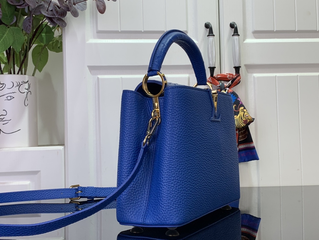 LV Capucines Small Handbag