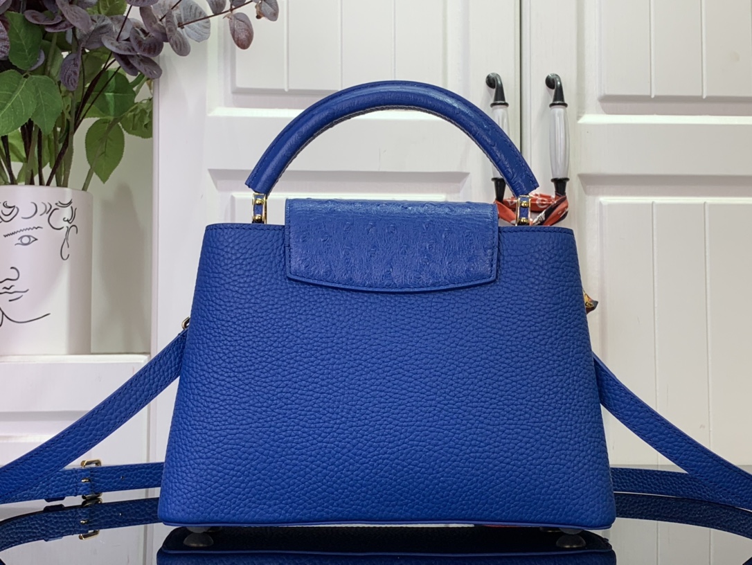 LV Capucines Small Handbag