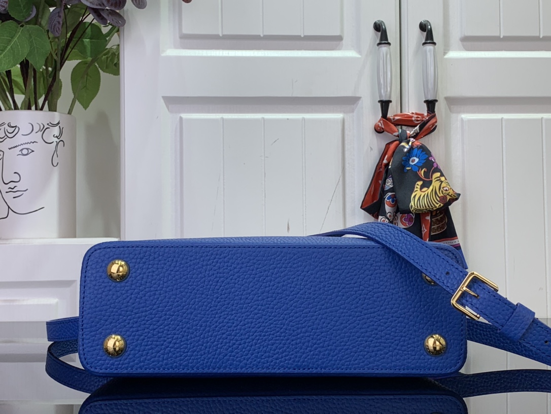 LV Capucines Small Handbag