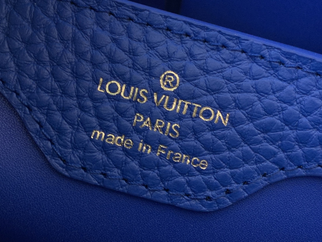 LV Capucines Small Handbag