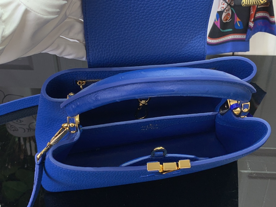 LV Capucines Small Handbag