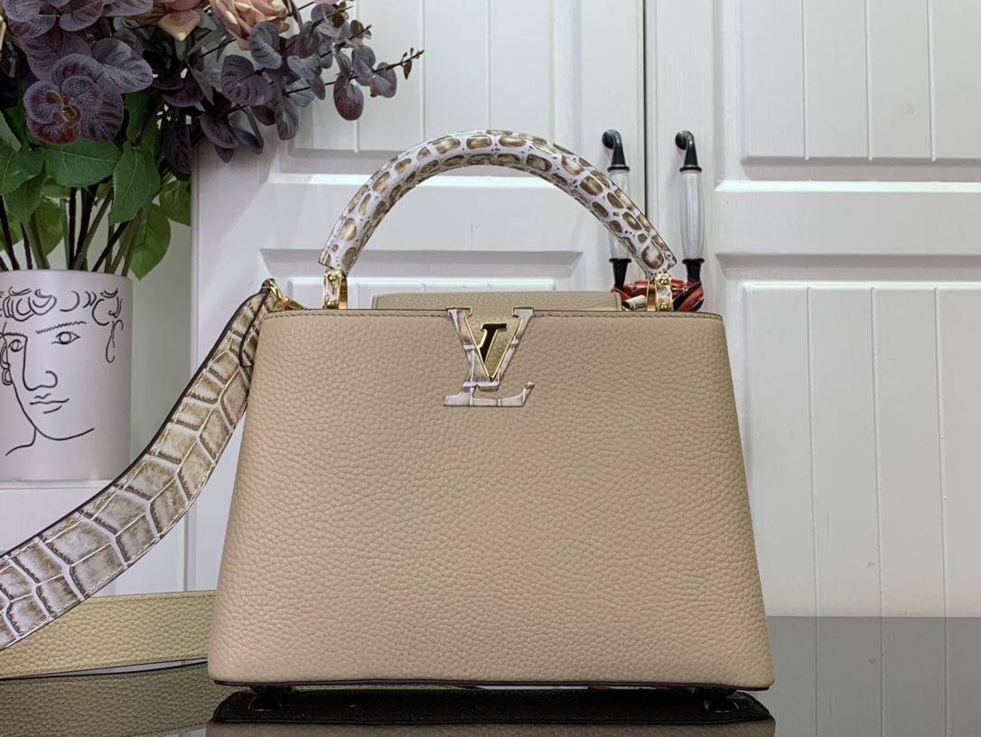 LV Capucines Small Handbag