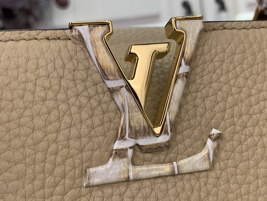 LV Capucines Small Handbag