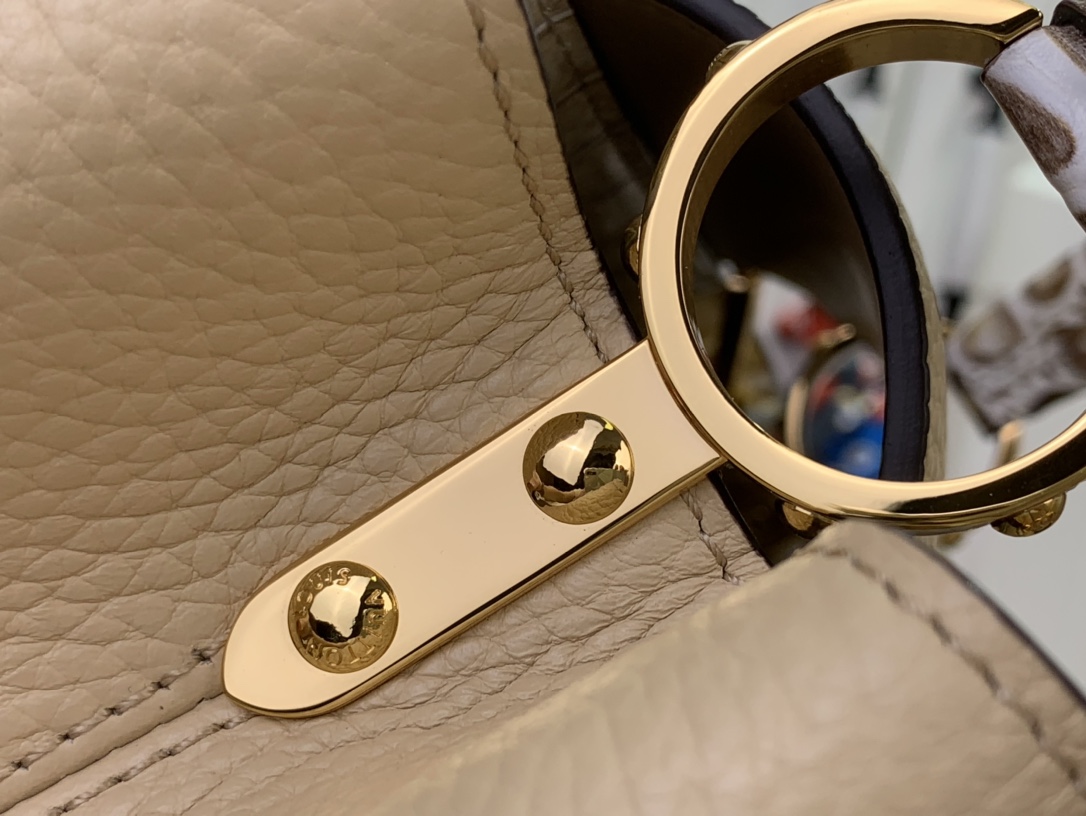 LV Capucines Small Handbag